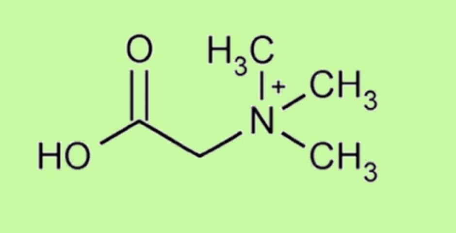 Betain HCL, prodej, kvalita, kratomworld, zdraví, kyselina, živiny, vitamin B12, vápník, železo, hořčík, detoxikace, zažívací problémy