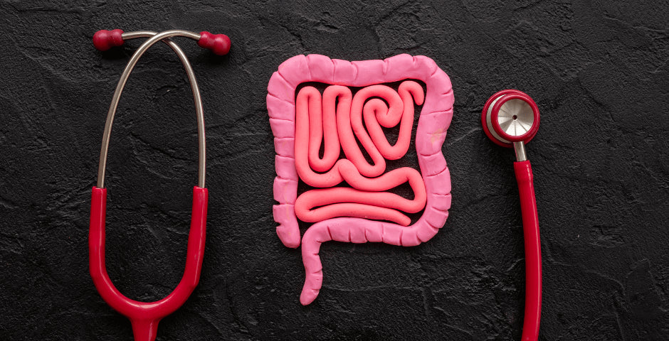 kratom world betain hcl článek trávení živiny