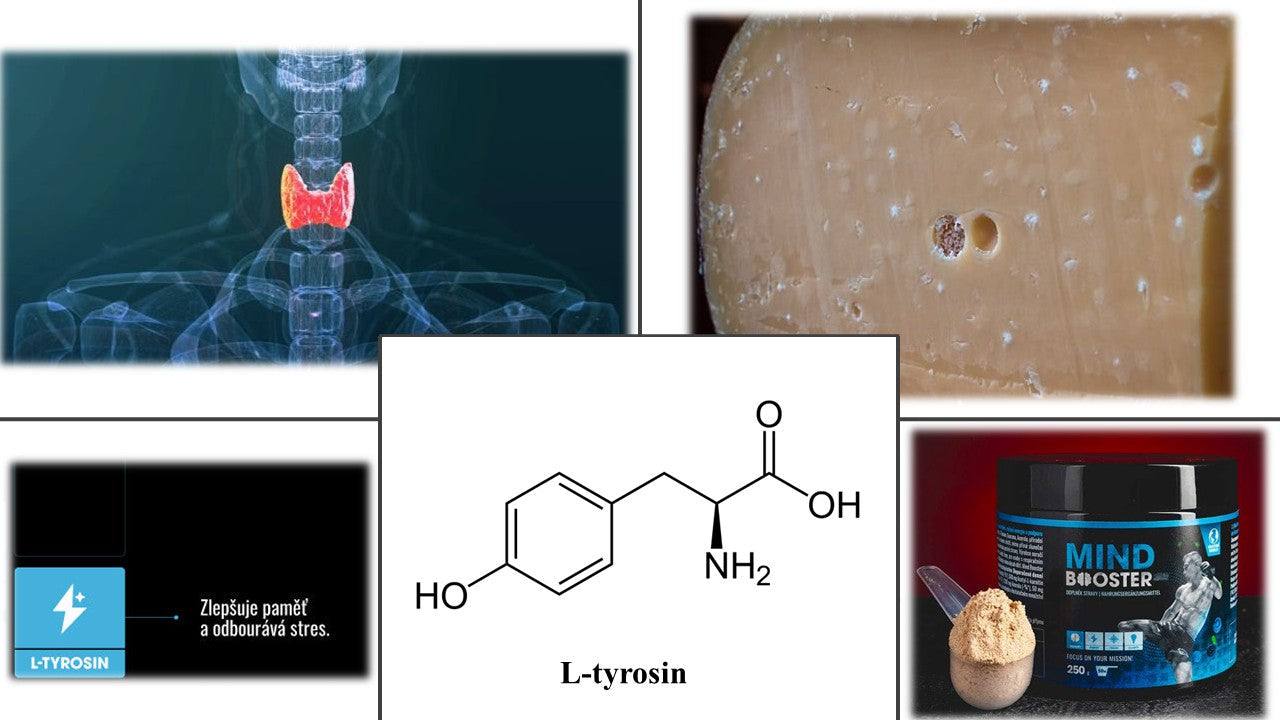 L-Tyrosin Aminokyselina kratomworld