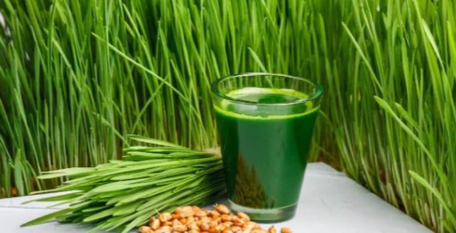 síla, energie, zdraví, pšeničná tráva, wheat grass, kratom world, kvalita, prodej, detoxikace, trávení, kardiovaskulární,