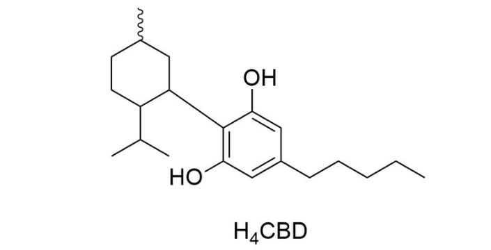 H4CBD co to je jaké jsou účinky H4CBD prodej konopí hhc cbd praha