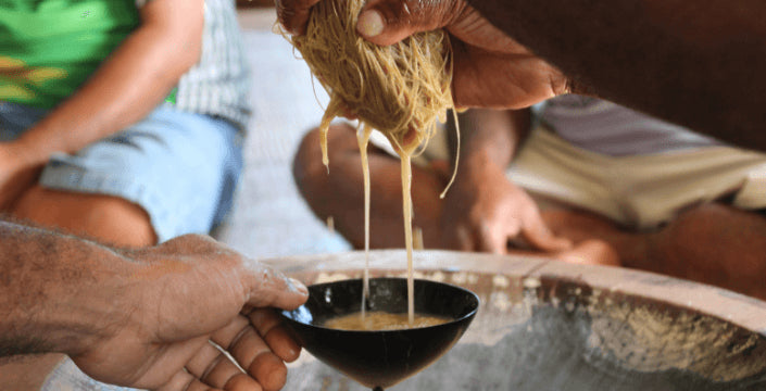 Kava Kava Pepřovník Opojný Kratom World prodej Praha