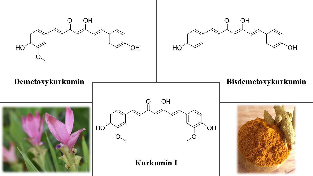 kurkuma vedecky clanek kratomworld kolaz vzorecky medicina doplnek stravy