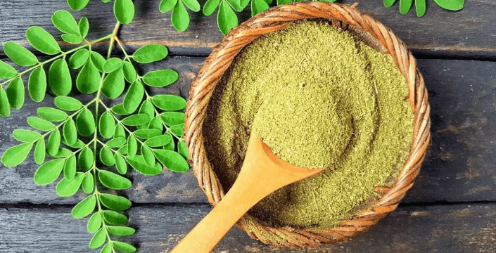 Moringa Olejodárná Prodej Kratom World