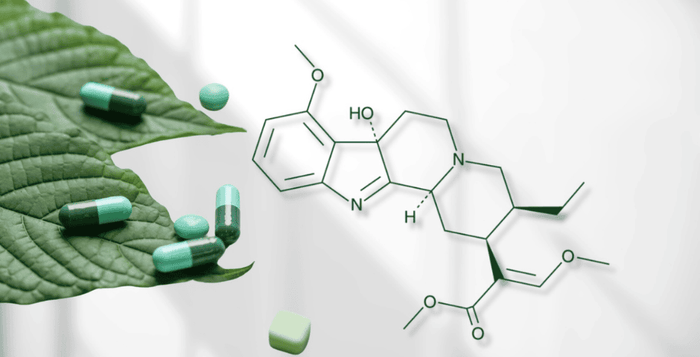 7OH mitragynine nahrada kratomu relaxace stiumlace tlumeni bolesti kratom world