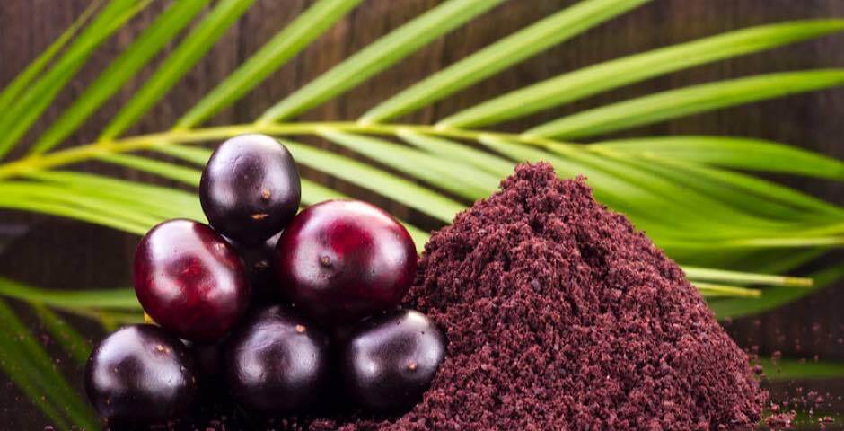antioxidant, acai, zdraví, puding, acai bowl, prodej, kvalita, kratom world, ovoce, svačina, snídaně, jídlo