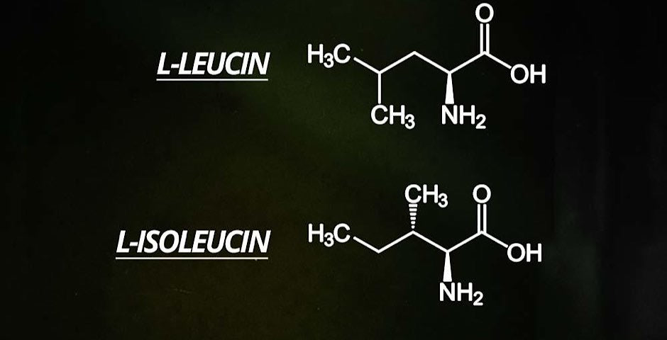 BCAA, únava, fitness, cvičení, protein, svaly, glykogen, výkon, energie, prodej, kvalita, kratom world