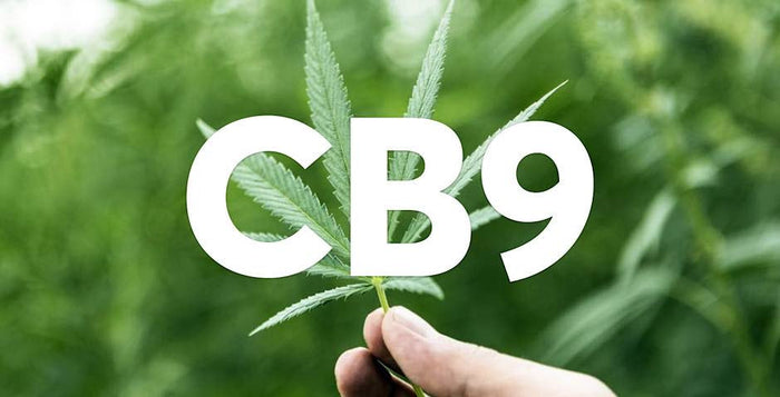 CB9, konopí, CBD, relax, parkinson, prodej, kvalita, Kratom World, Bolest, Zánět, úleva