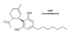 CBDP, kanabinoid, prodej, pohoda, stres, kvalita, kratomworld, bolest, spánek