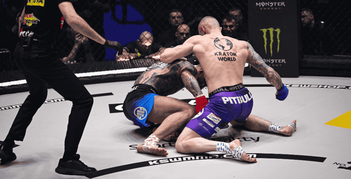 leo brichta samuel bily kratom world mma ksw zapasnici bojovnici