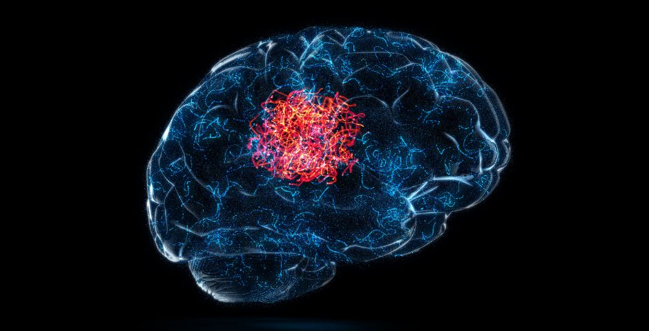 mind booster, mozek, funkce, kvalita, prodej, kratomworld, zdraví, výkon mozku, kognitivní funkce