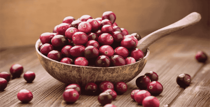 Přírodní doplněk brusinkový extrakt s významným efektem kratomworld