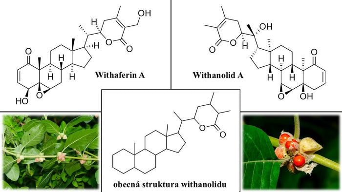 ashwagandha koláž vědecké články kratom world