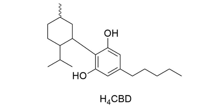 H4CBD co to je jaké jsou účinky H4CBD prodej konopí hhc cbd praha