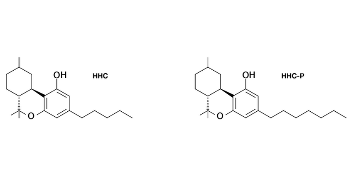 Kratom World Rozdíl mezi HHC a HHC-P kanabinoid kratom prodej hhc cbd květy zhulse