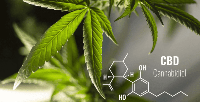 kratom world cbd soli koupelové