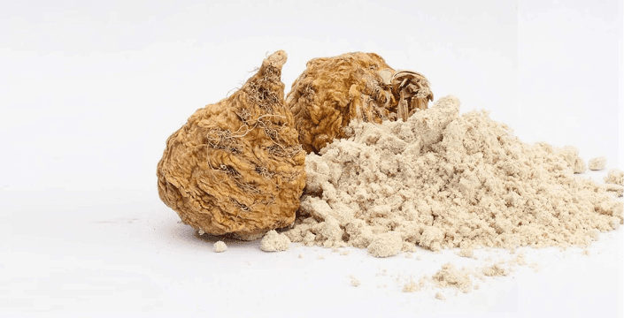 Inulin: Tajemná látka ovlivňující i vaše zdraví