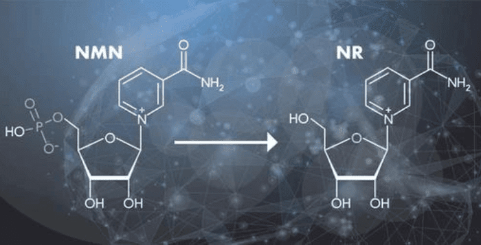 NMN, Nikotinamidmononukletid, zdraví, věk, mládí, vitamín, prodej, kratomworld