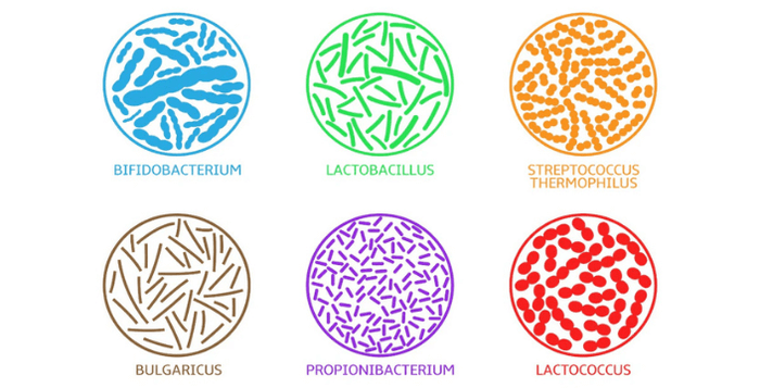 kratom world probiotika prodej kratomu účinky dávkování prodej