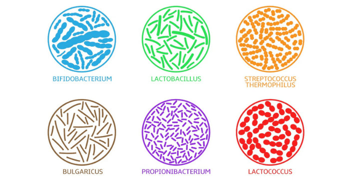 kratom world probiotika prodej kratomu účinky dávkování prodej