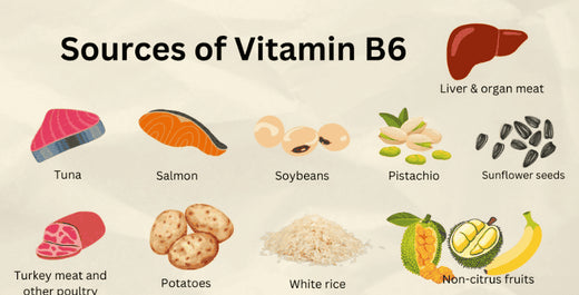kratom world vitamin b 6 metabolismus zdraví energeticky metabolismus banan jatra organy