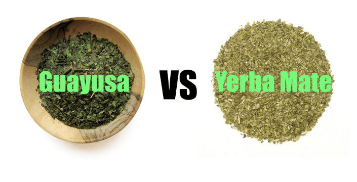Kratom World Yerba Maté Guayusa účinky rozdíly kofein energie prodej kvalitní čaj