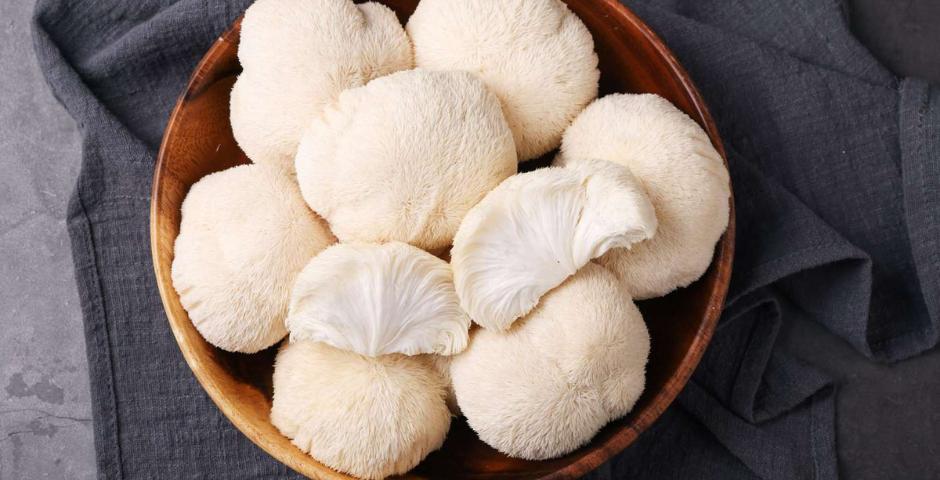 mindbooster a focus mushroom blend clanek kratomworld prodej soustredeni focus