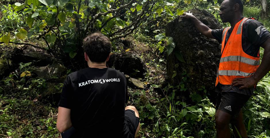 Cesta na farmu Kava Kava: Report z Fidži od Kratom World