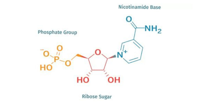 NMN, Prodej, kvalita, kratomworld