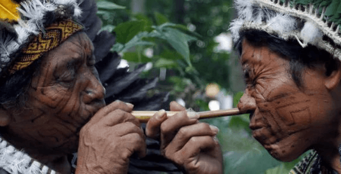 Kvalitní Rapé Kratom World Prodej Rapé Nicotiana Rustica Tradice