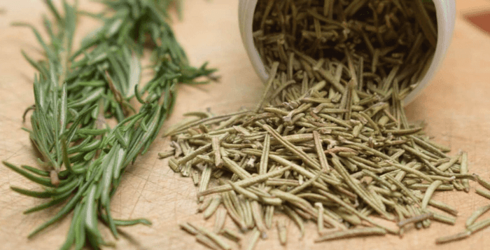 Rozmarýn Rosemary Kvalitní Rozmarýn Z Indonésie Čaj Zlepšení Nálady a Imunity