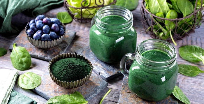 supergreens, super zelená zelenina, brokolice, kapusta, prodej, houby, vláknina, kratomworld, kvalita, špenát, petržel, imunita, antioxidant