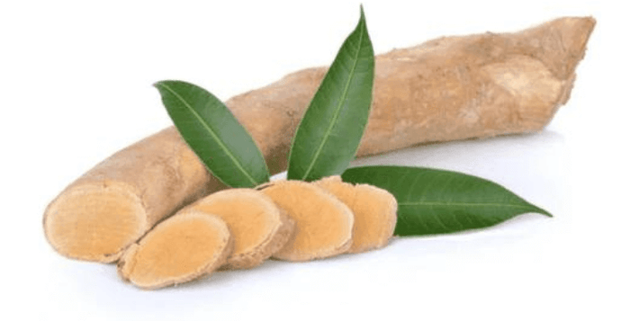 Kratom World Tongkat Ali Kořen Testosteron