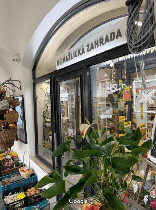 kratom world expert článek green maeng da účinky